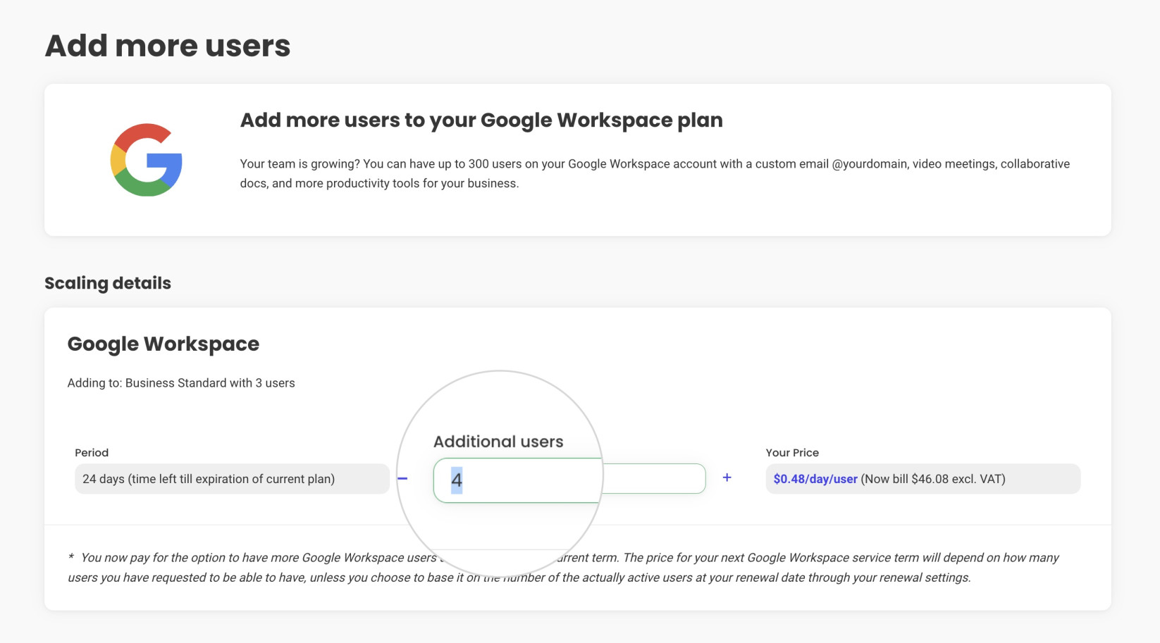 Payment page for additional Google Workspace users