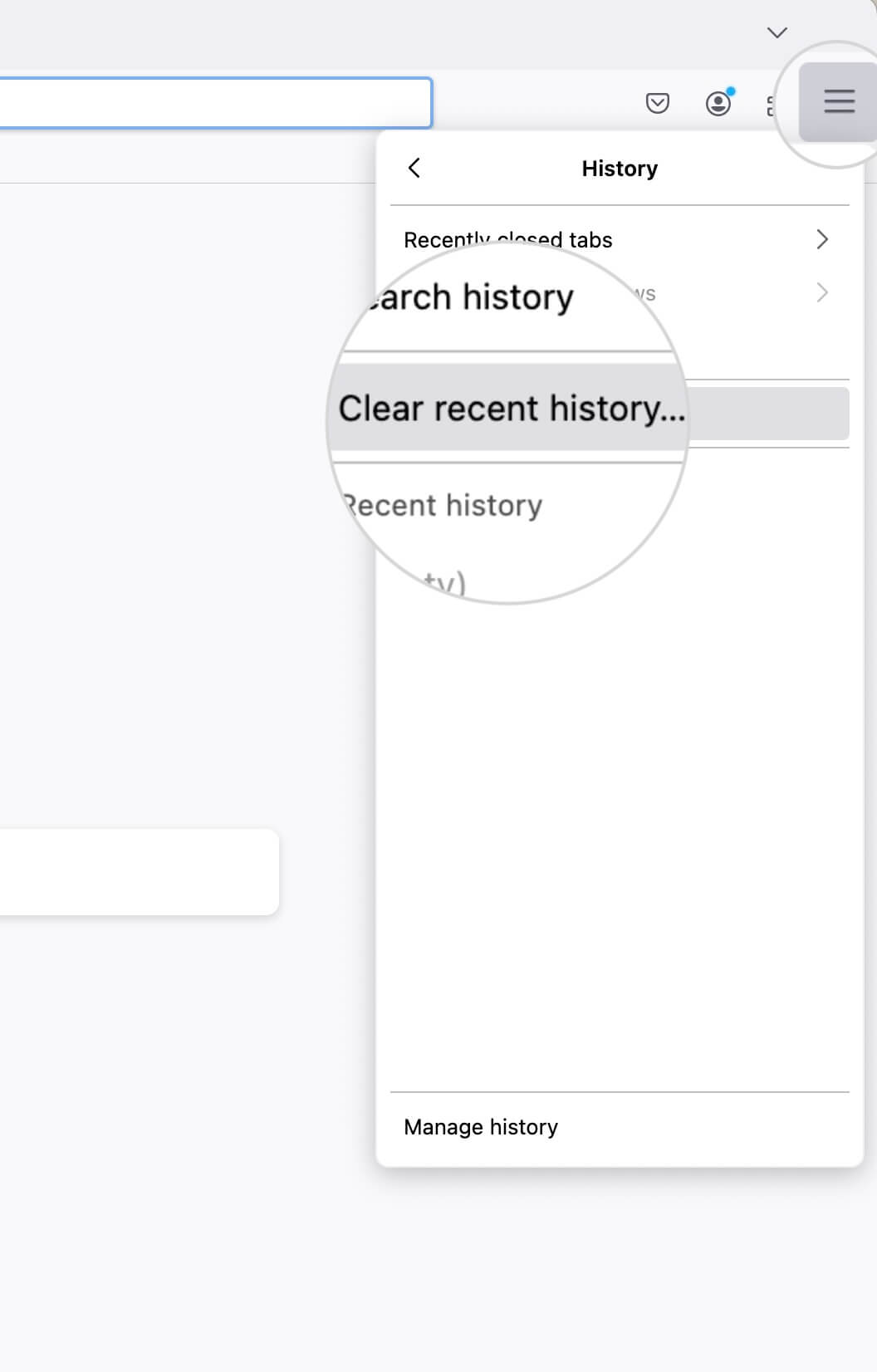 Clear recent history in Firefox