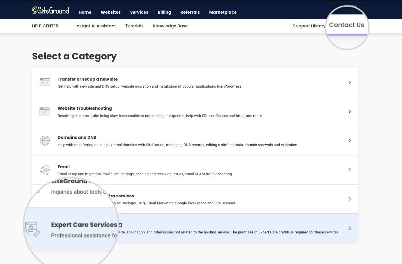 Expert Care Services category