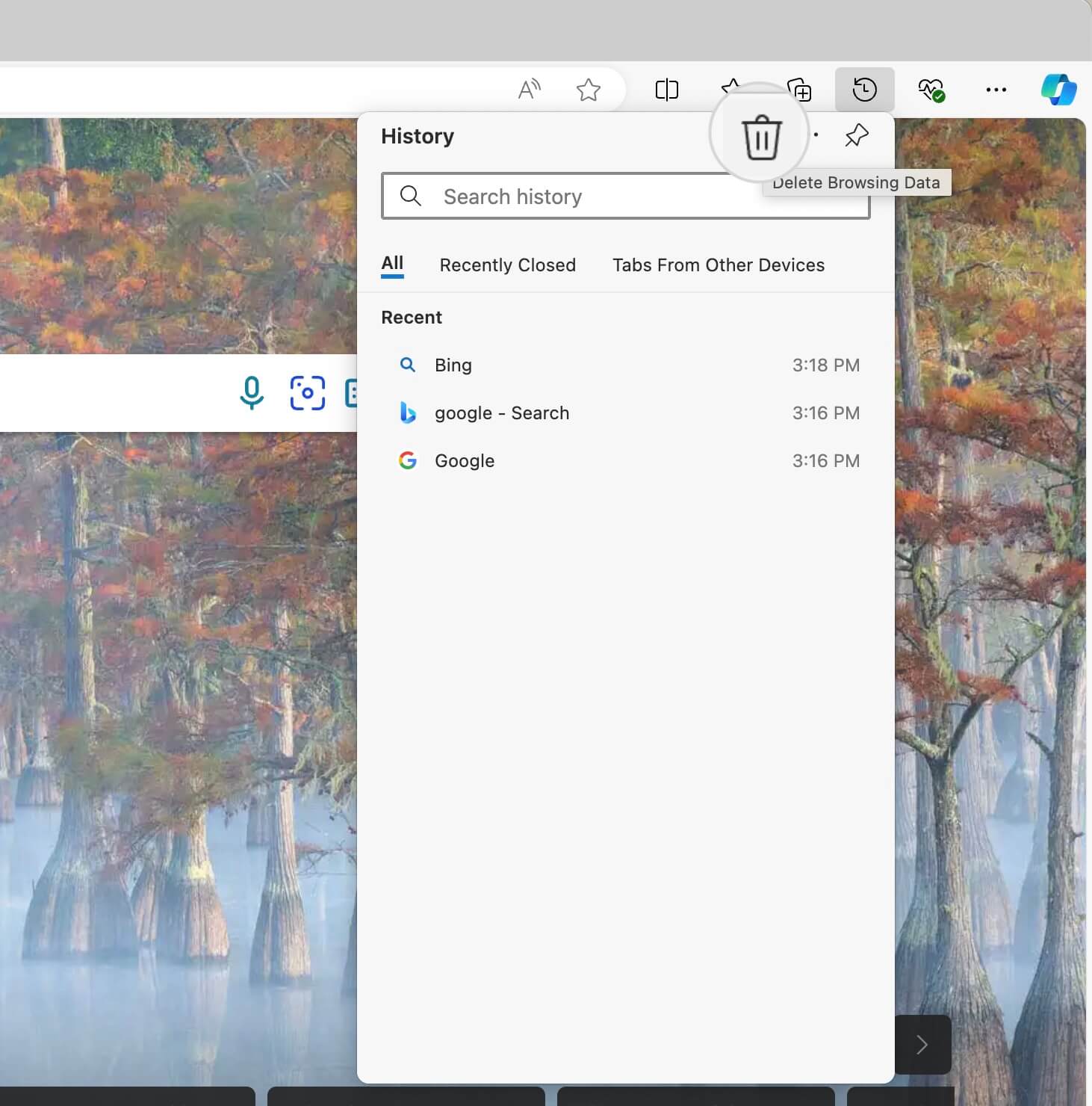 Delete Browsing Data icon in Edge