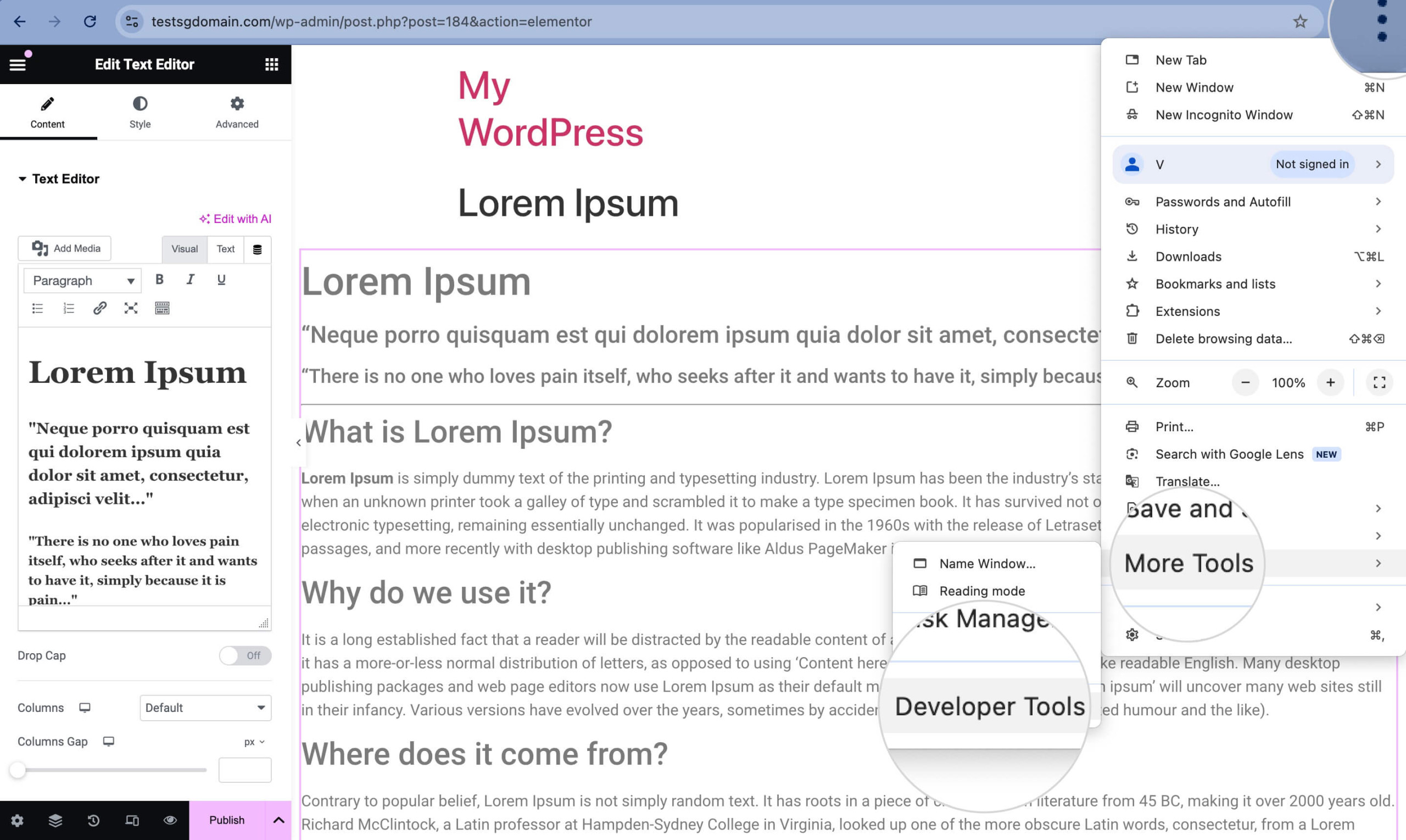 Screenshot showing how to access the Developer Tools in the Chrome browser
