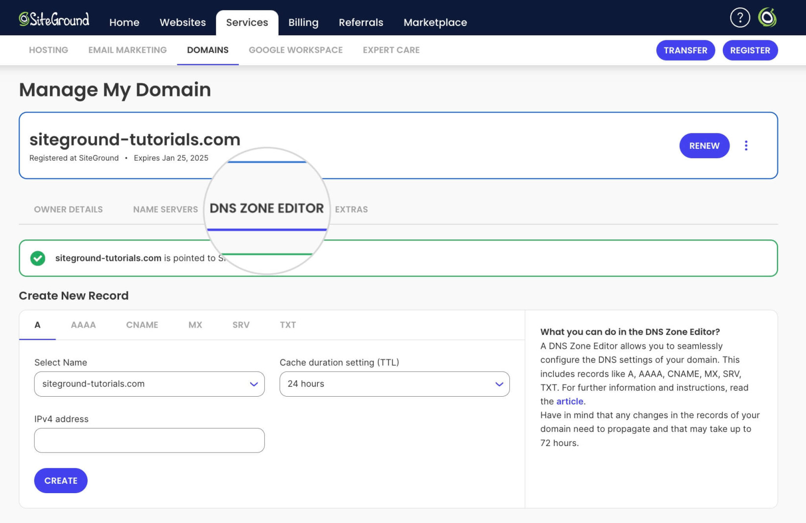 DNS Zone Editor for a Site Builder website