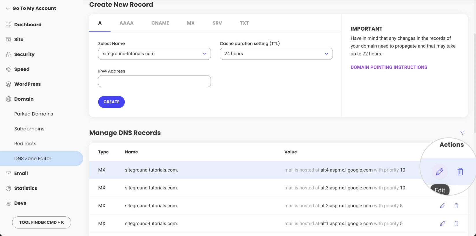 How to edit or delete existing DNS record in Site Tools