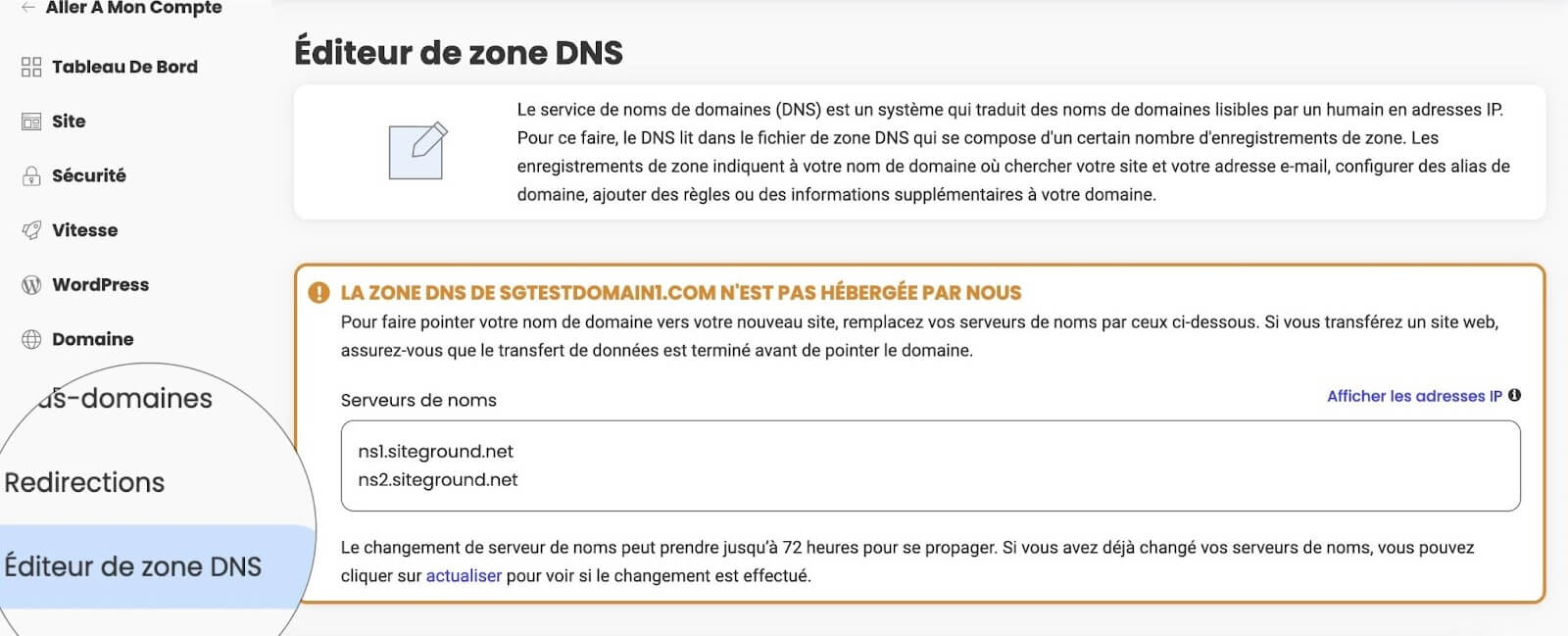 Éditeur de zone DNS dans Site Tools