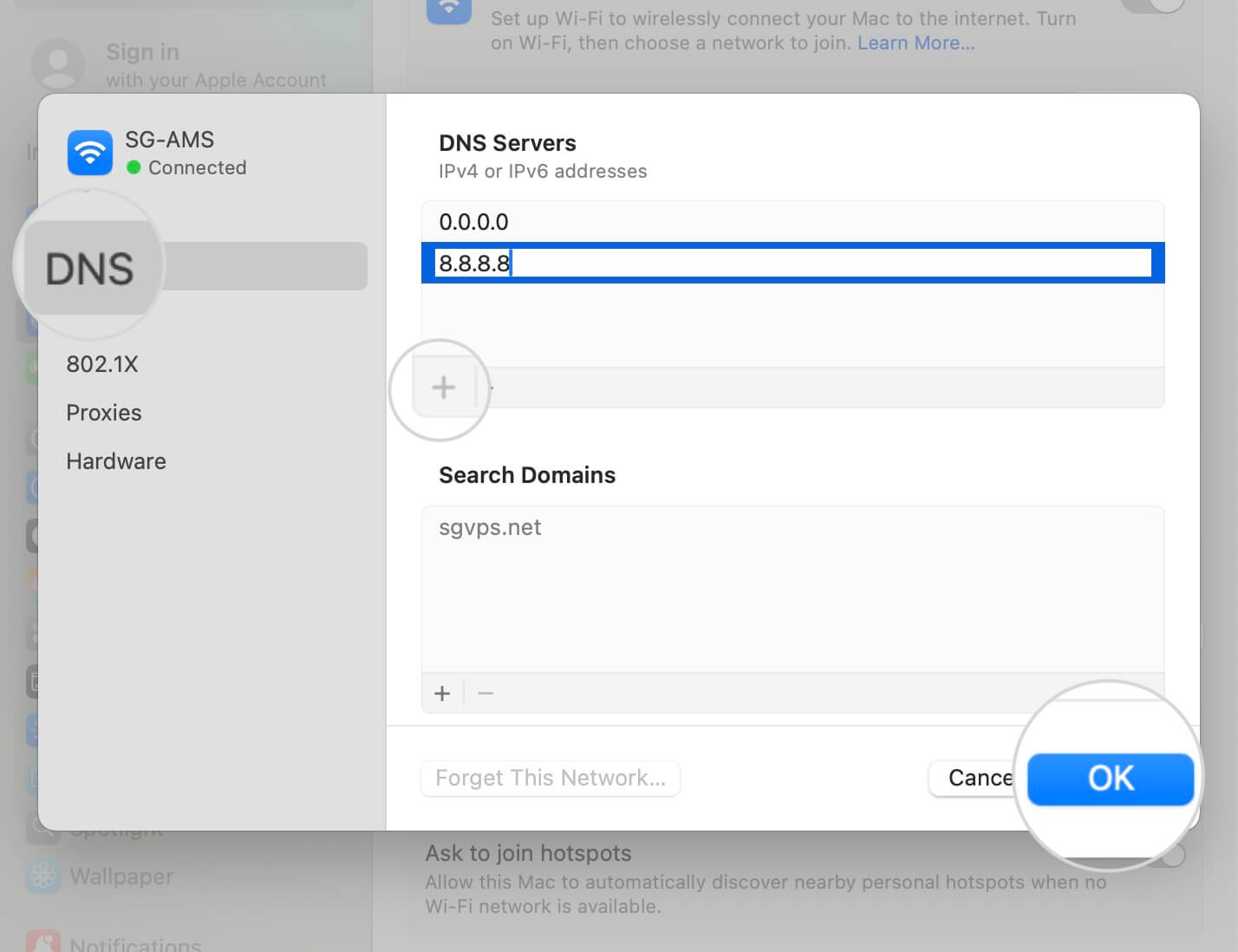 DNS settings in Mac