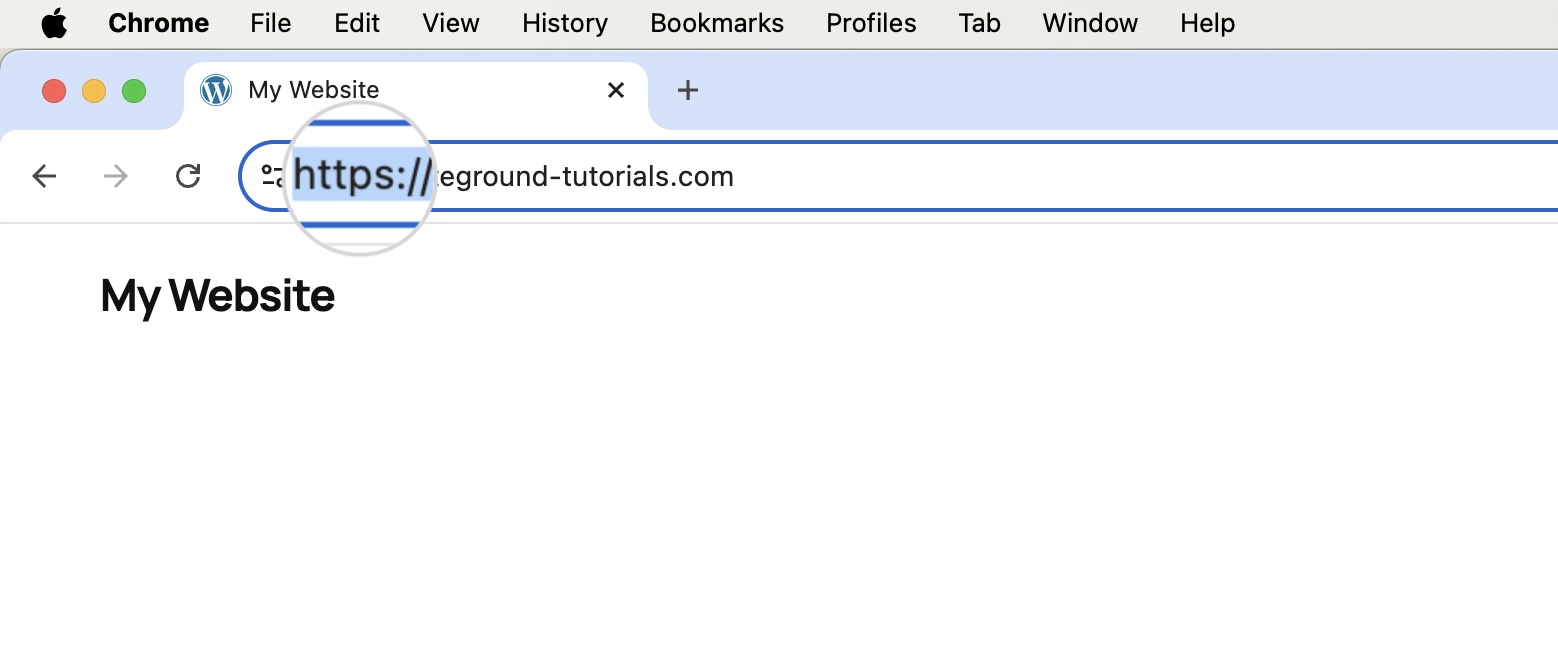 Address bar in Chrome showing the HTTPS protocol