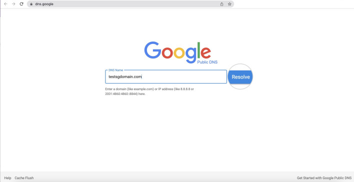 Screenshot of Google's DNS propagation checker