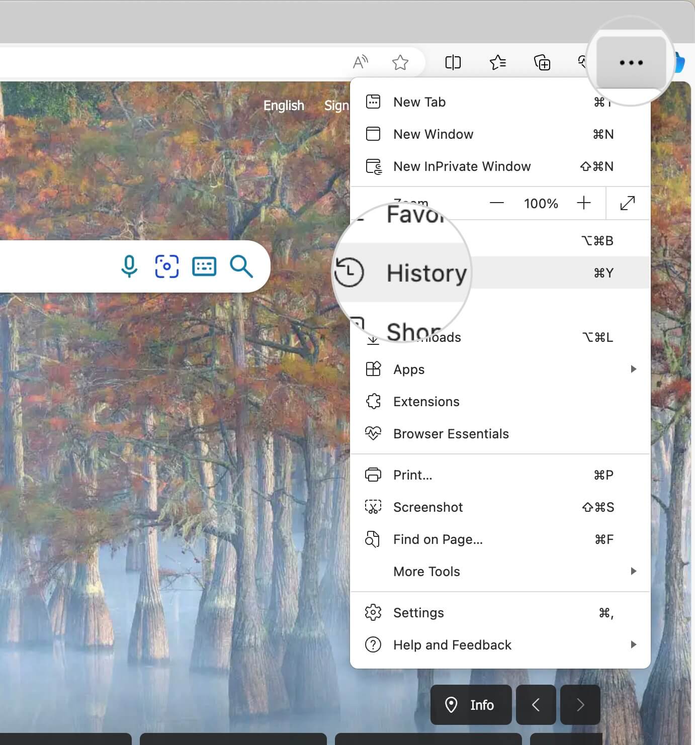 History menu in Microsoft Edge