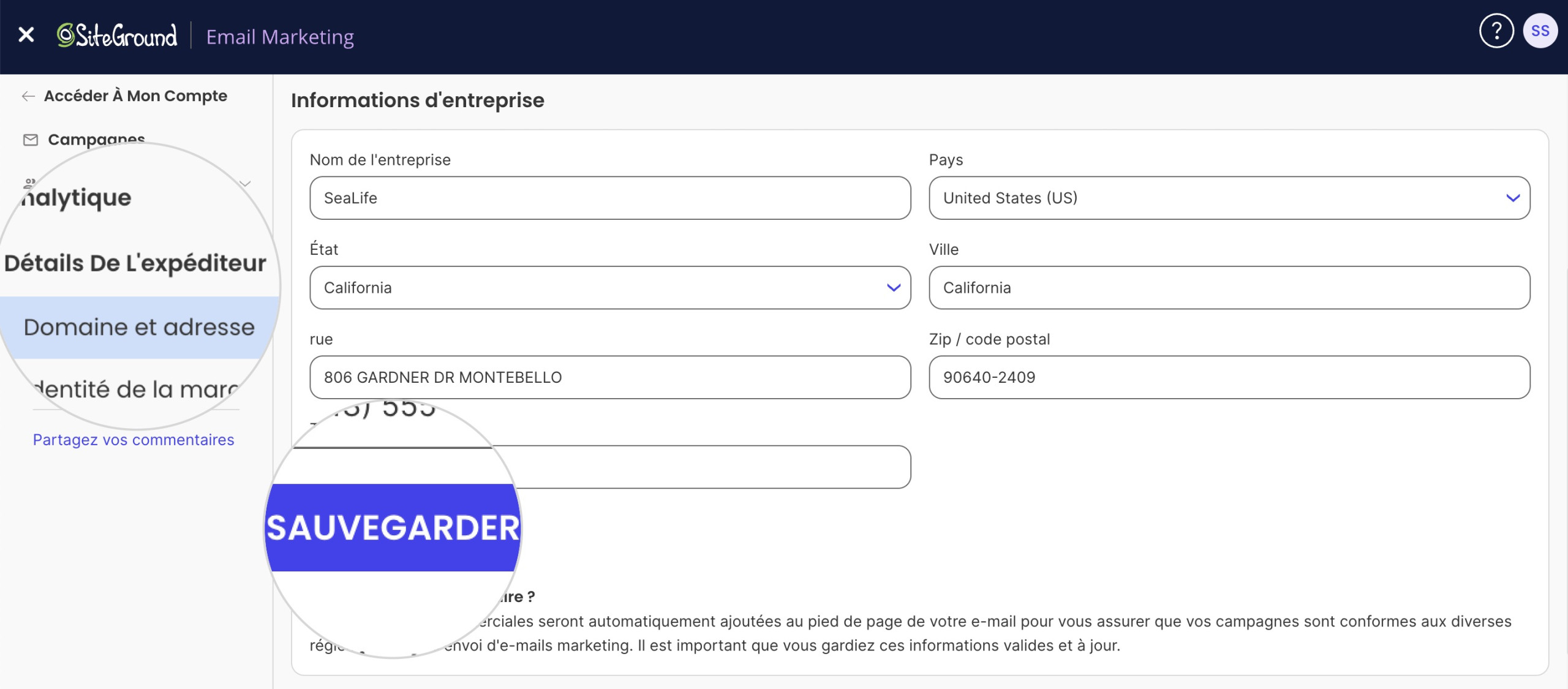 Section Informations sur l’entreprise dans le Marketing par e-mail SiteGround