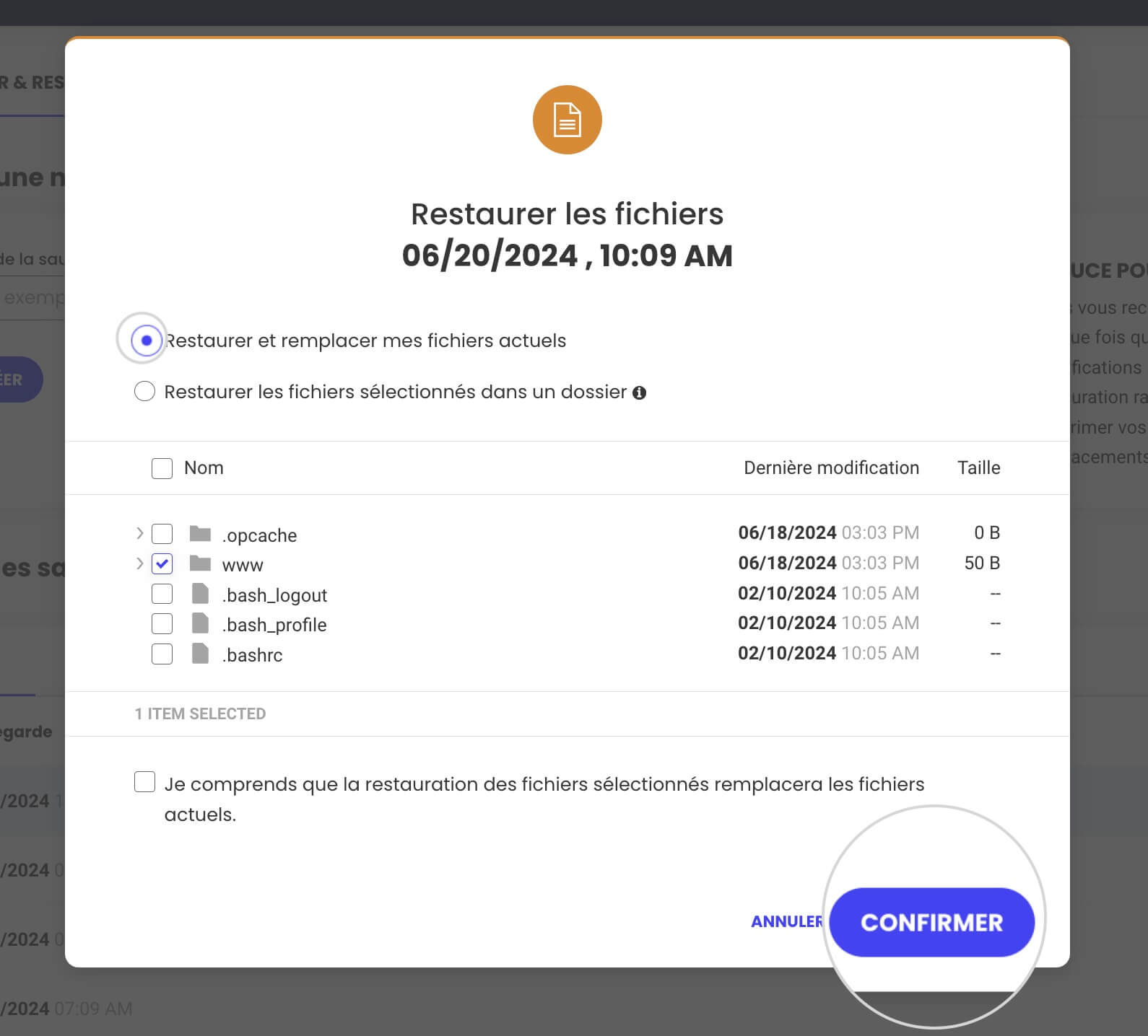 Comment restaurer des fichiers spécifiques dans Site Tools