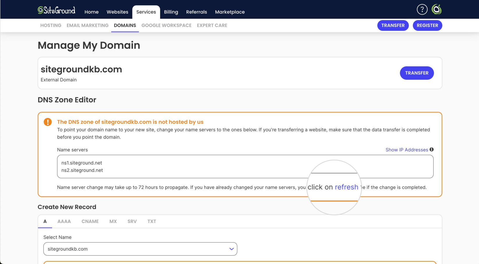 Refresh button for the notice in the DNS Zone Editor warning that a domain is not pointed 