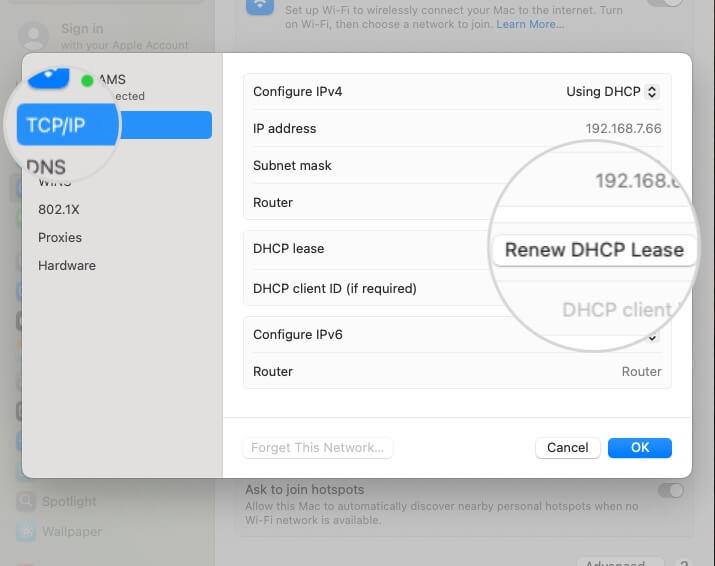 How to renew DHCP lease in Mac
