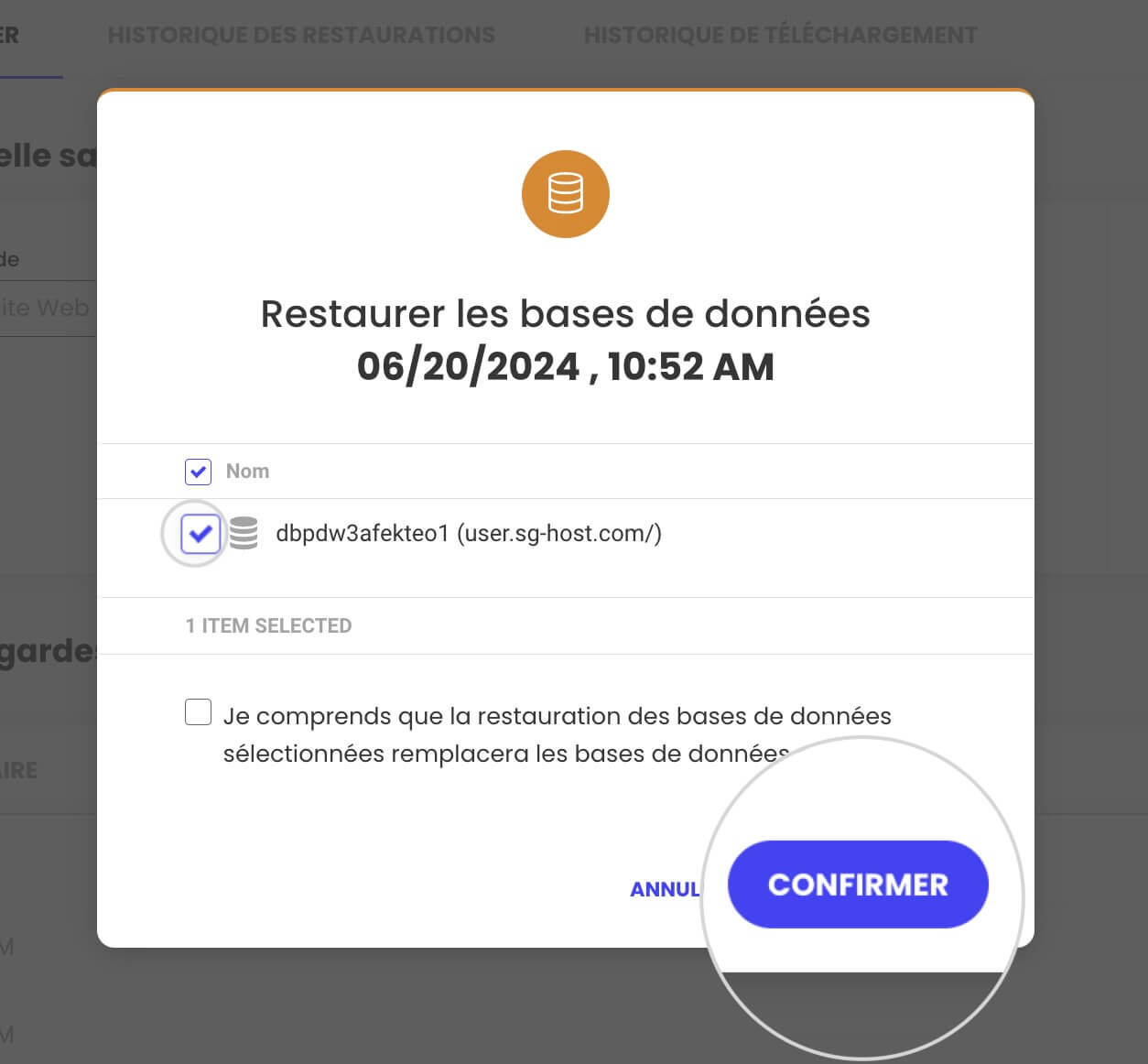 Comment restaurer des bases de données spécifiques dans Site Tools