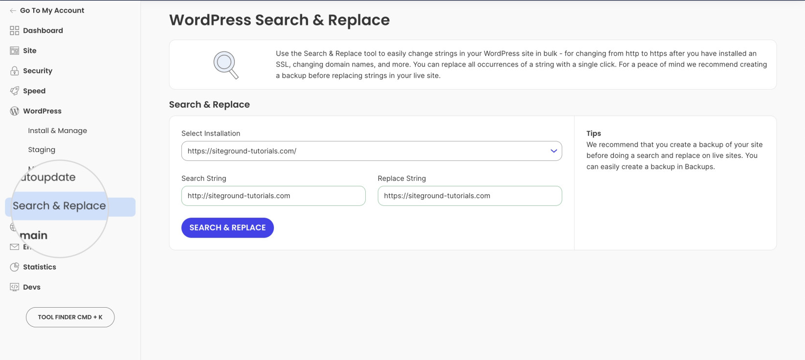 "WordPress Search & Replace" in Site Tools