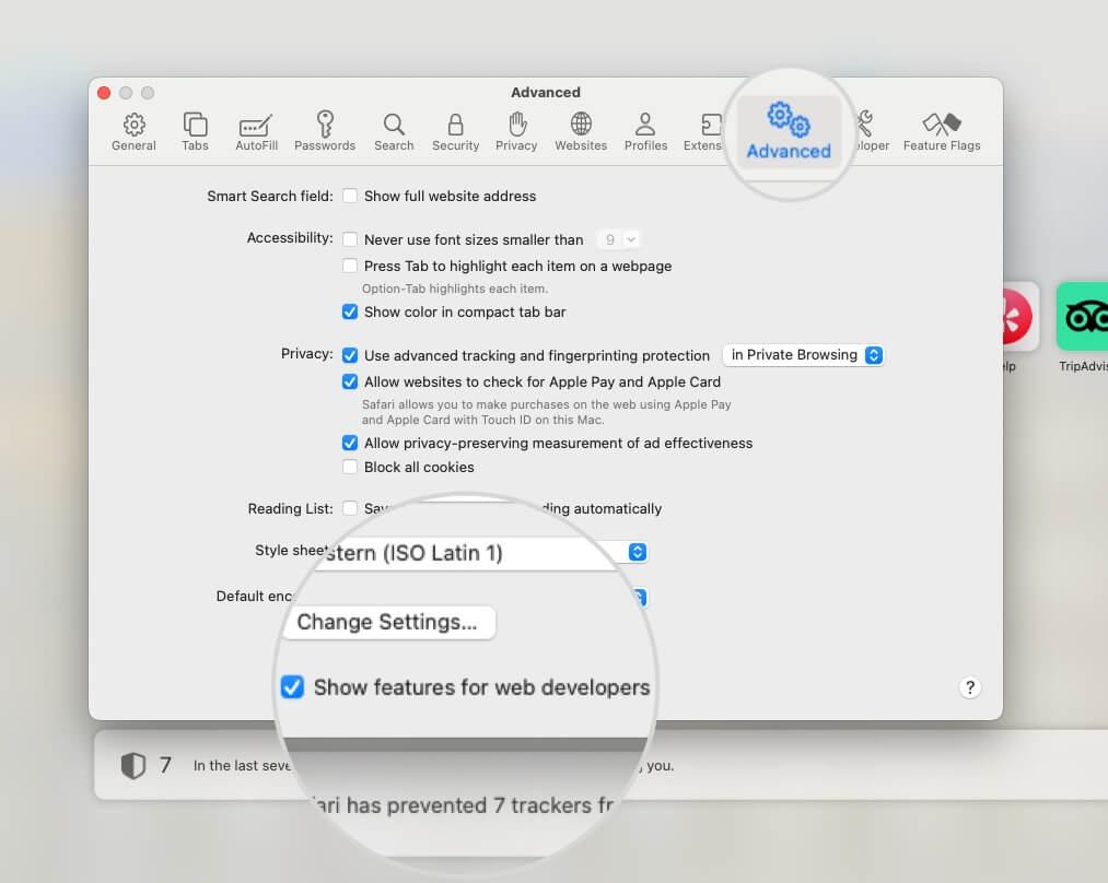 Show features for web developers in Safari