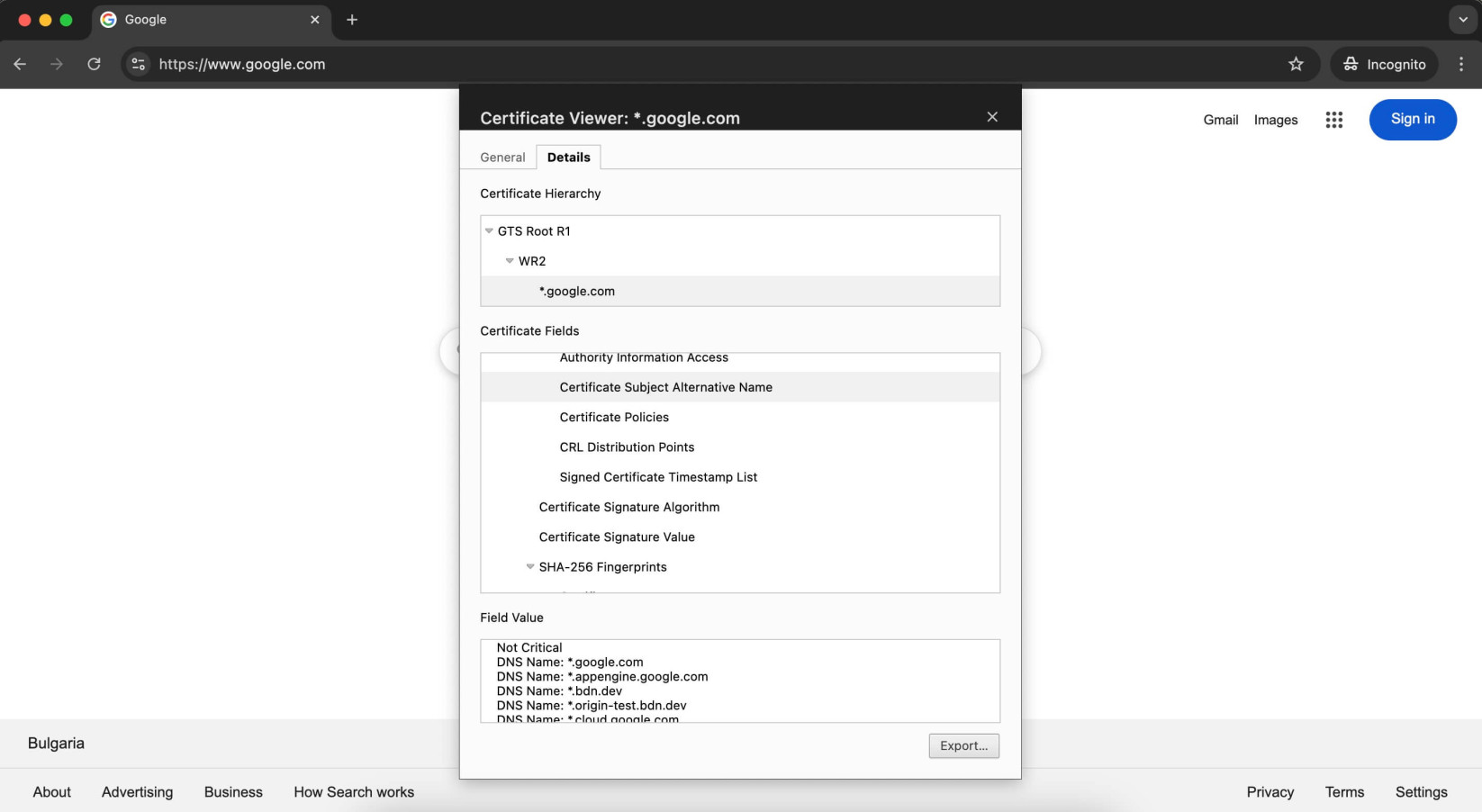 Screenshot of the certificate details in Google Chrome, showing a list of the SSL fields and more details about the Certificate Subject Alternative Name field.