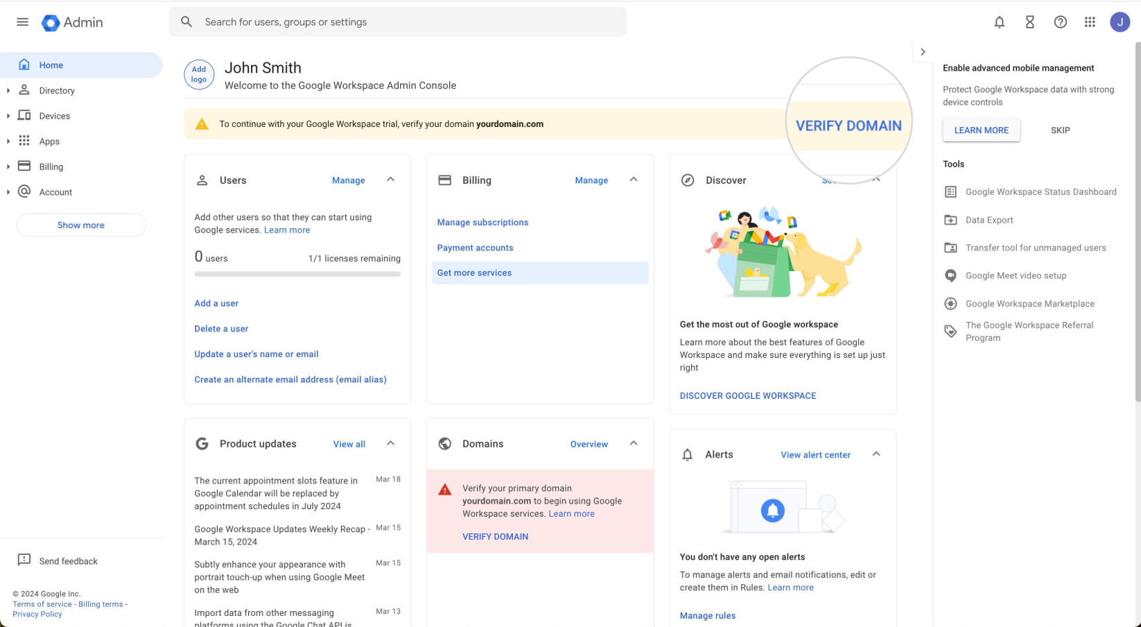 "Verify Domain" button in Google Workspace Admin Panel